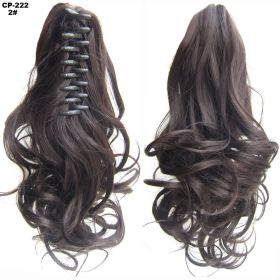 Long Wave Ponytail Wrap Around Ponytail Clip In Hair Headwear Gray Hairpiece Natural Extensions (Option: 02)